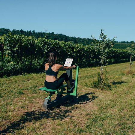 Agriturismo Pratello Паденге сул Гарда Екстериор снимка